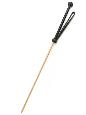 Hidden Desire The Obedience Cane - Black