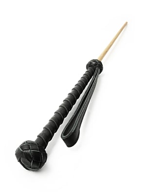 Hidden Desire The Obedience Cane - Black