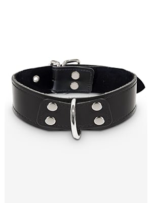 Elegant D-Ring Collar