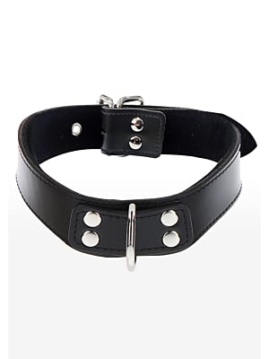 Elegant D-Ring Collar