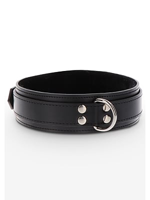Heavy D-Ring Collar