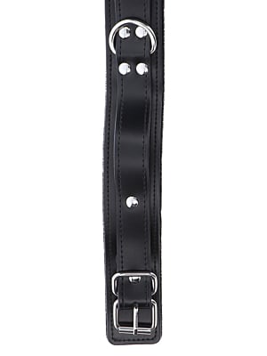 Heavy D-Ring Collar