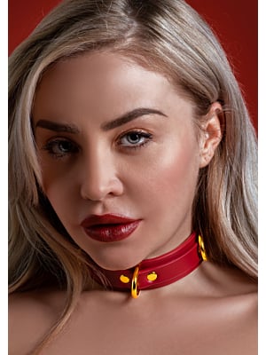 17153 D-Ring Collar Deluxe
