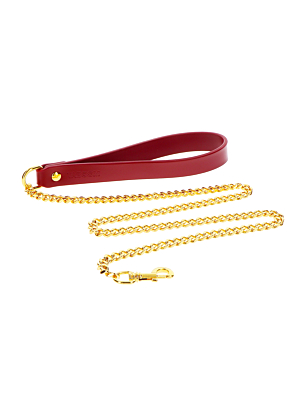Chain Leash