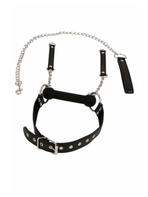 Bit gag + leash