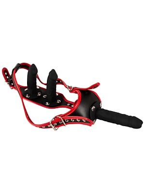 Bad Kitty Strap-On Harness with 3 Dildos