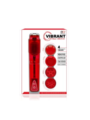 Vibrator with 4 Attachments