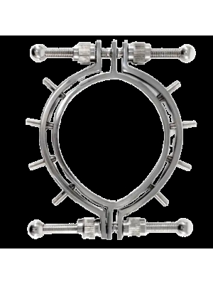 Stainless Steel Pussy Clamps With Spikes
