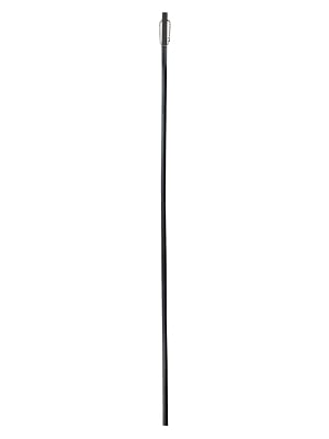 Cane