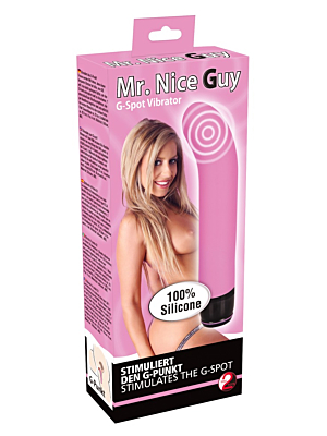 Mr. Nice Guy Vibe