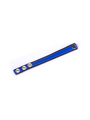 Rainbow Leather Cock Or Ball Strap - Black & Blue