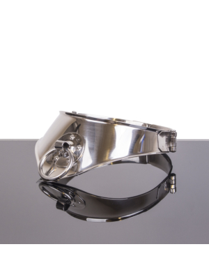 Locking Collar with Ring 11cm