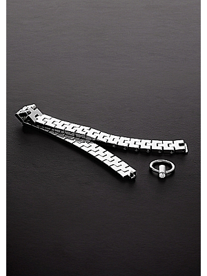 Watchband Collar with Lock - 17" / 43 cm