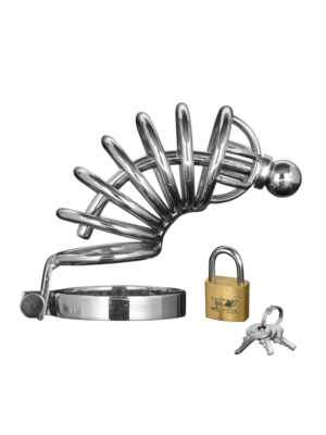 Asylum - 6 Ring Chasity Cage