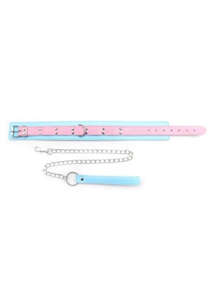 Blue And Pink Neck Collar With Leash