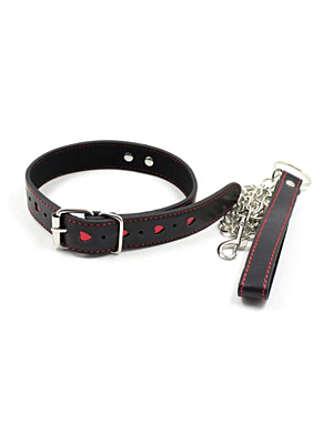 Easy Collar Leash