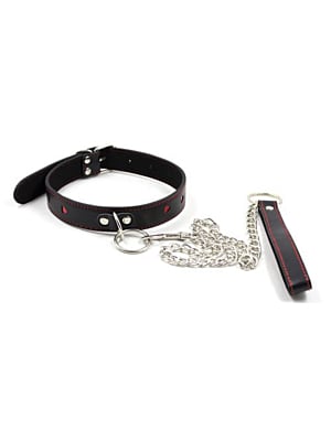Easy Collar Leash