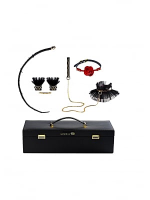 Luxurious Romantic Bondage Play Kit