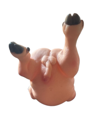 Pigie Pig sweet Penis