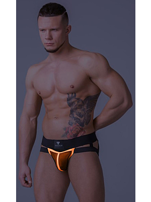 Youngero. Men's Jockstraps. Mesh Codpiece
