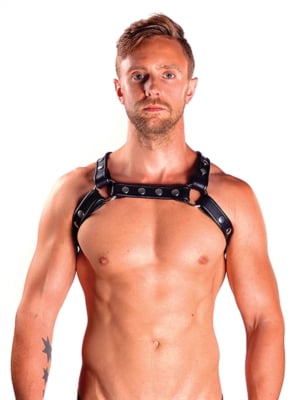 Mister B Leather X-Back Harness Premium Black-LXL
