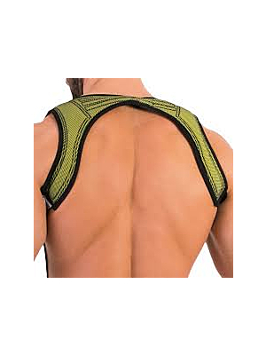 Harness Perry