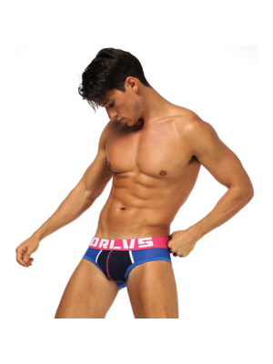 Mesh Brief Mens Underwear Blue