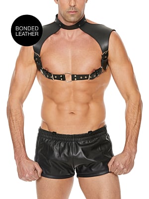 Men Harness with Neck Collar - One Size - Black