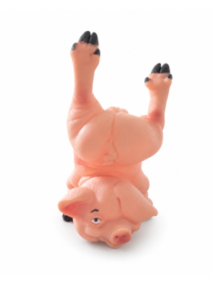 Pigie Pig sweet Penis