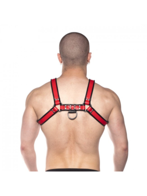 Prowler RED Bull Harness Black/Red Medium
