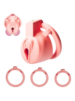 Super Cute Pussy Chastity Cage Pink
