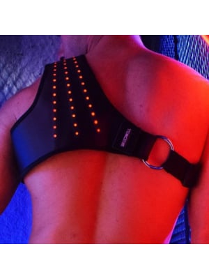 SYNERGY Breedwell Lighted Harness