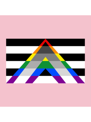 Ultimate LGBTQ+ Flag