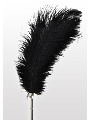 Πολυτελές Μεταλλικό φτερό Γαργαλήματος  - Luxury Feather Tickler Black