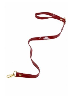 Vinyl leash with wrist strap and carabiner