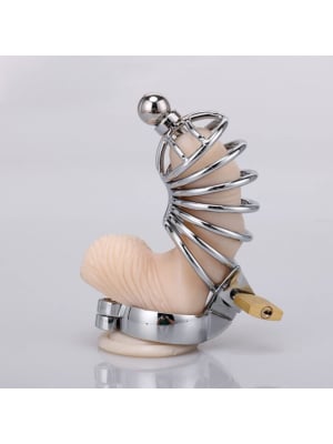 Chastity Cage with Urethral Dilator Torture