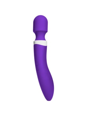 iVibe Select iWand