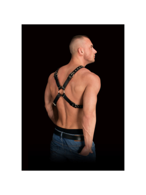 Adonis Chest Harness