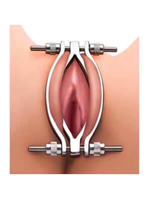 Stainless Steel Adjustable Pussy Clamp