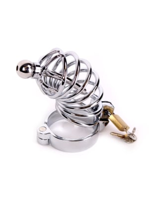 Chastity Cage /w Penis Stick