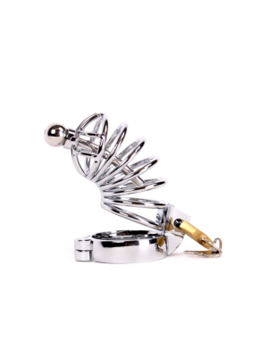 Chastity Cage /w Penis Stick