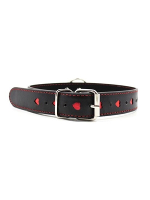 Easy Collar Leash