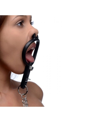 Degraded Mouth gag and nipple clamps