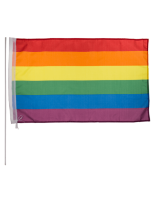 Flag Pride 90 x 60 cm With Plastic Stick