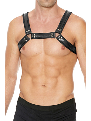 Leather Bulldog Harness with Buckles