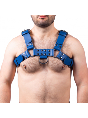 Leather Harness Buckle Blue - Taille
