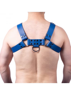 Leather Harness Buckle Blue - Taille