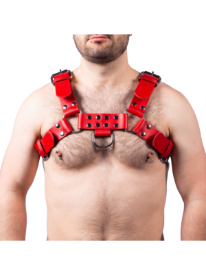 Leather Harness Buckle Red - Taille