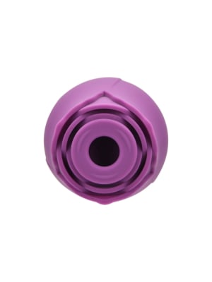 Loving Joy Purple Toy Clitoral Suction Vibrator