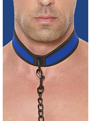 Neoprene Collar With Leash Blue